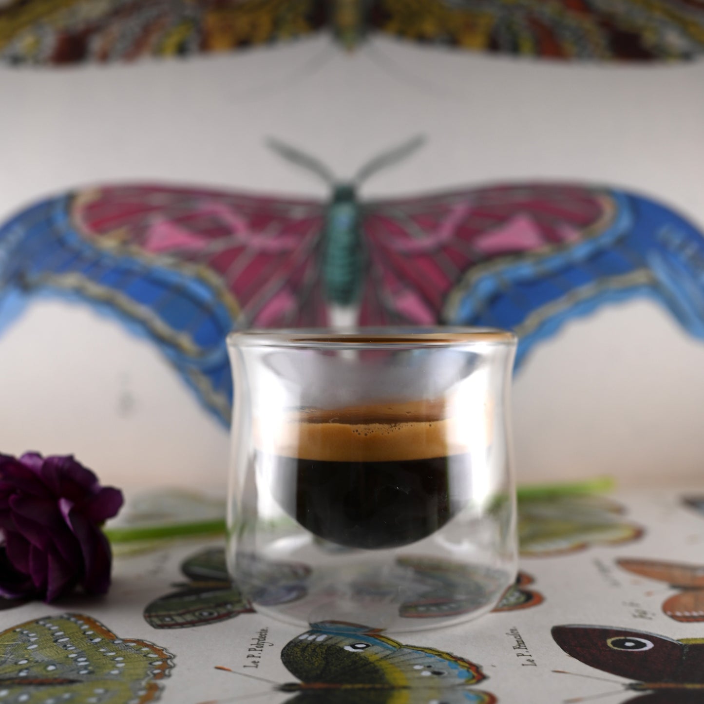 Colombia Single Origin