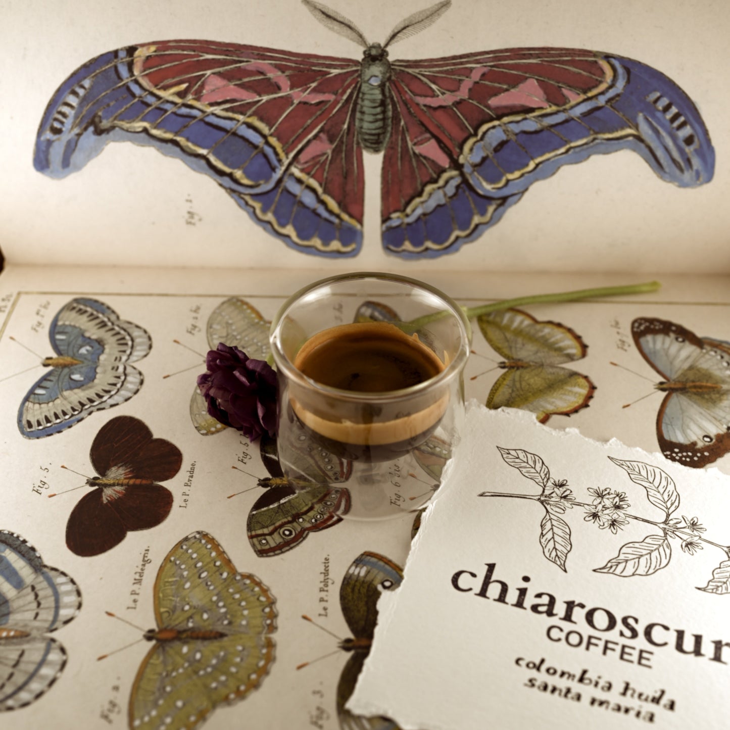 Colombia Single Origin